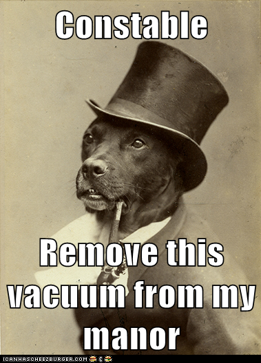 A Small Collection of Fancy Cats and Dogs