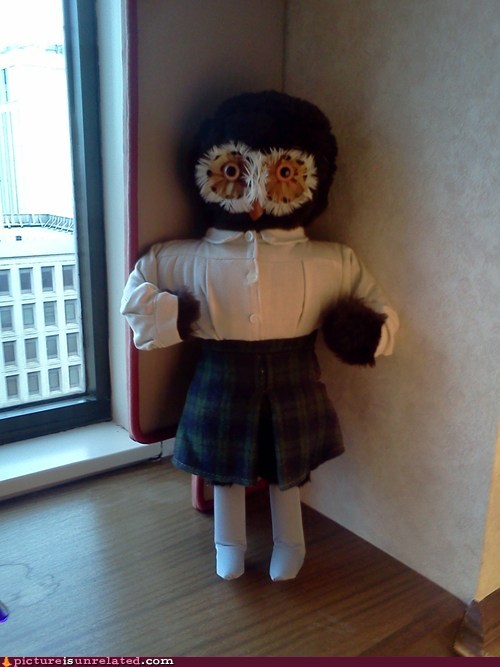 Play the Percentages